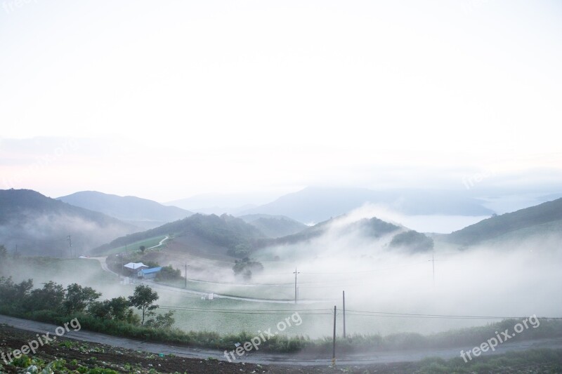 Anban Degi Gangneung Fog The Cabbage Garden Free Photos