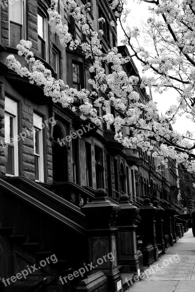 Harlem Street Black And White City Building