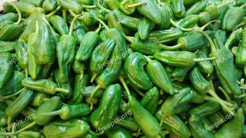 Padron Peppers Spanish Green Tapas