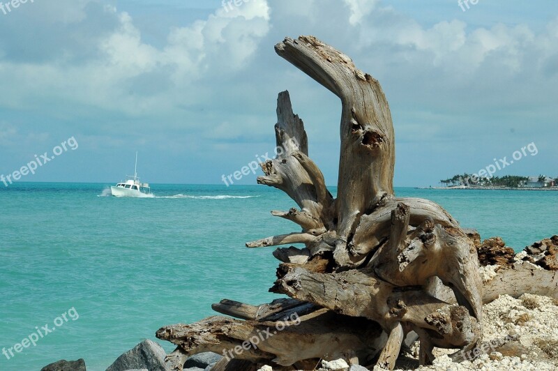 Driftwood Landscape Seascape Boat Tropical Climate