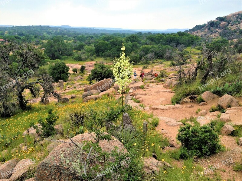 Pink Granite Yucca Hiking Enchanted Rock Texas Free Photos