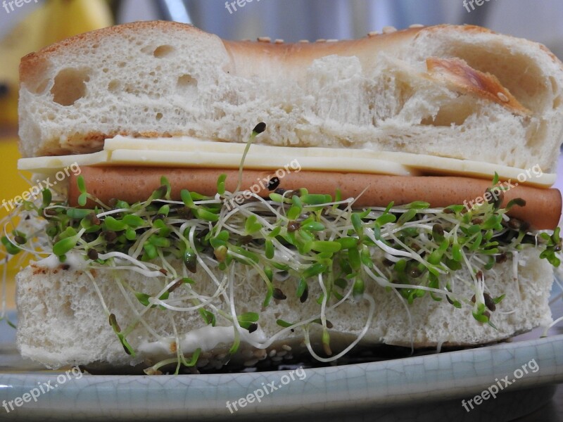 Snack Breakfast Tasty Bread Cheese