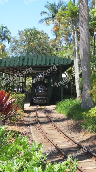 Steam Locomotive Subtropical Garden Free Photos