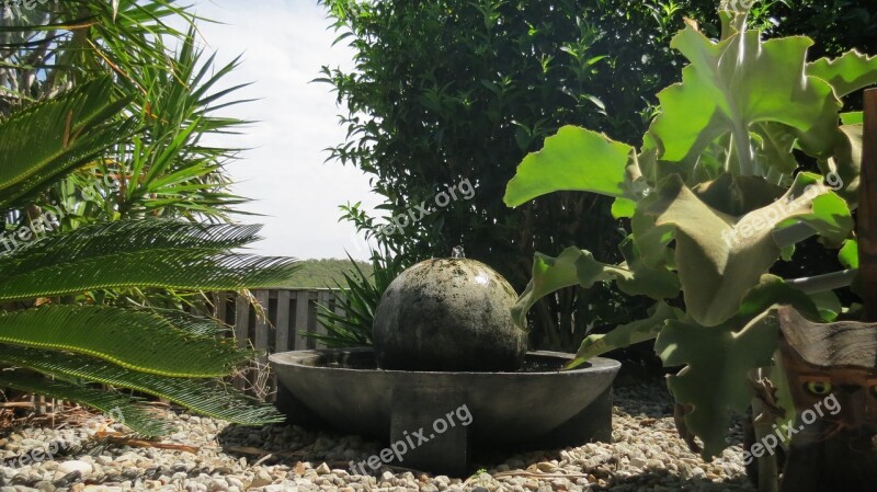 Water Sphere Subtropical Garden Free Photos