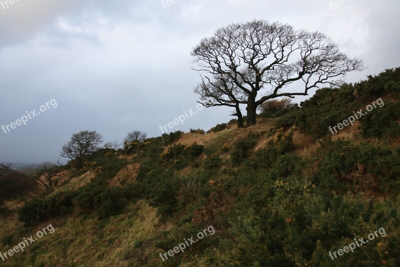 North Yorkshire Countryside Country England English