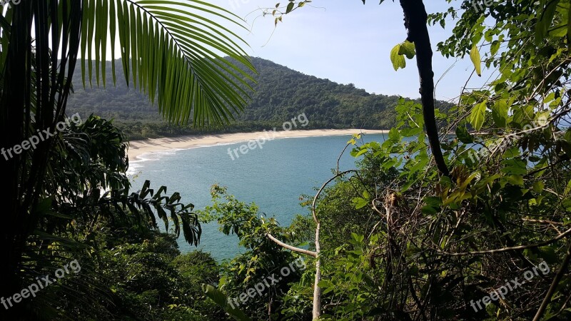 Beach Mar Sand Nature Caraguatatuba