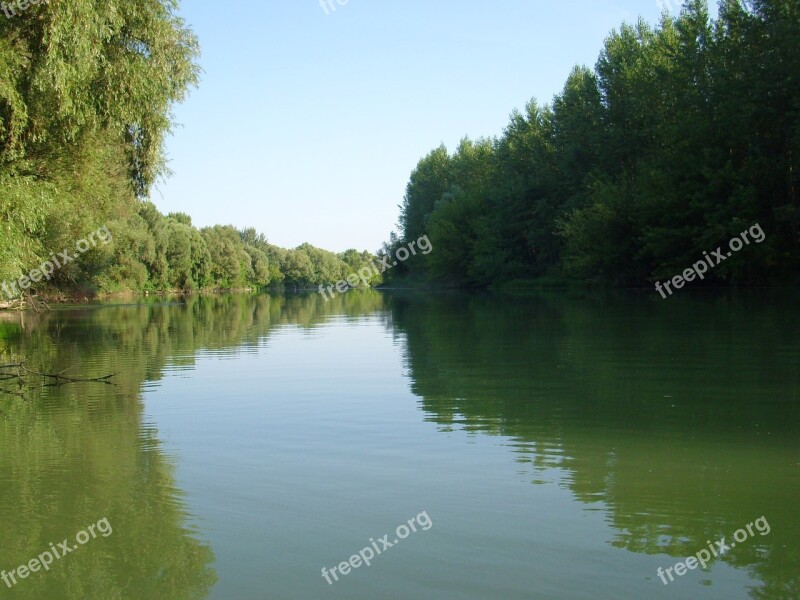 Backwater Danube Branch The Danube Water