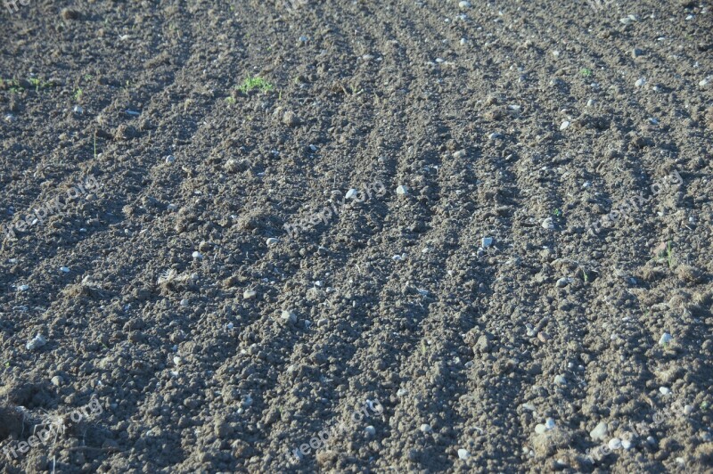 Earth Traces Arable Field Ridge