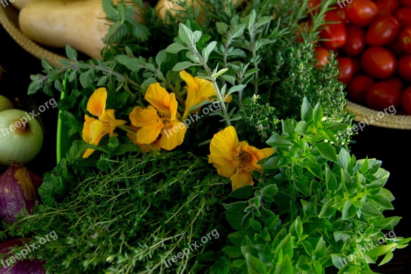 Nasturtium Thyme Herbs Free Photos