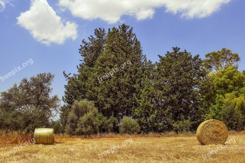 Hay Bales Field Straw Agriculture