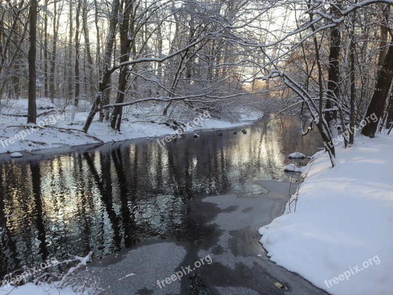 Stream River Nature Woods Bare Trees