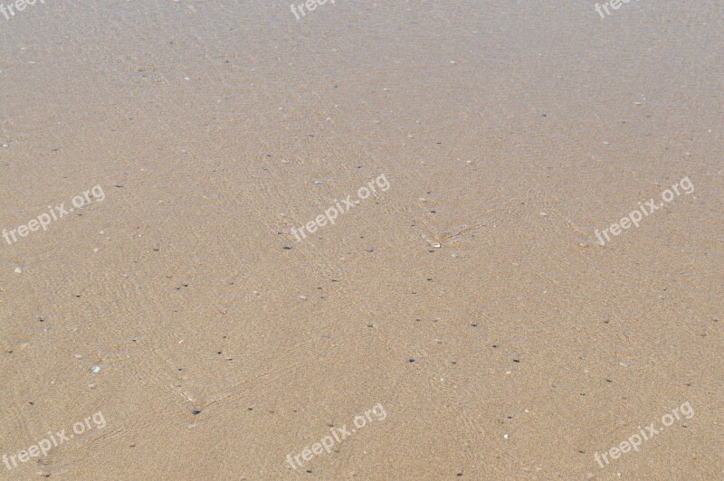 Sand Beach Sandy Beach Pebbles Free Photos