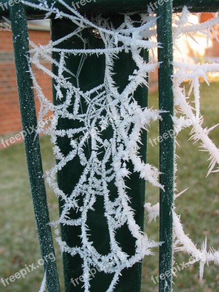 Cobweb Frost Winter Cold Hoarfrost