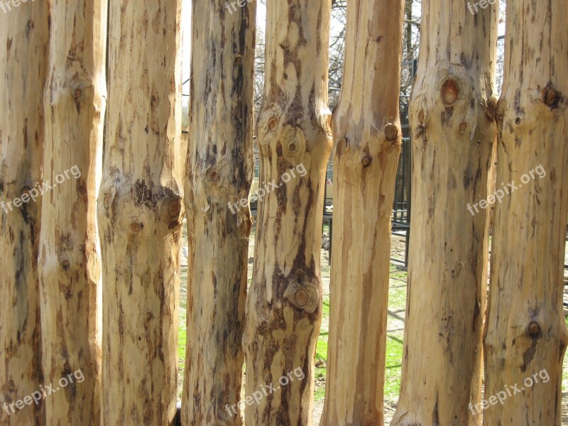 Wood Texture Brown Wooden Hardwood