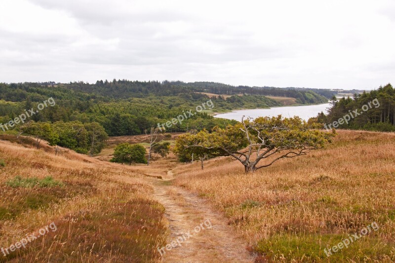 Thy Jutland Denmark Path Hills