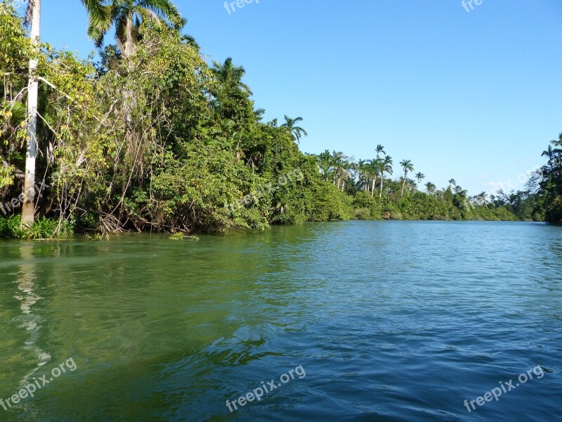 Belize River Rainforest Jungle Boat