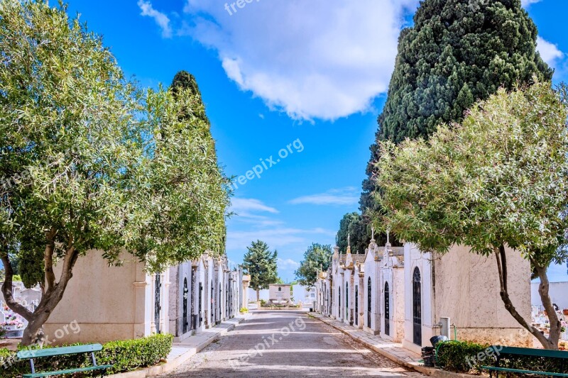 Cemetery Portugal Grave Portuguese Crypt