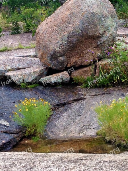 Enchanted Rock Wild Flowers Pink Granite Water Free Photos