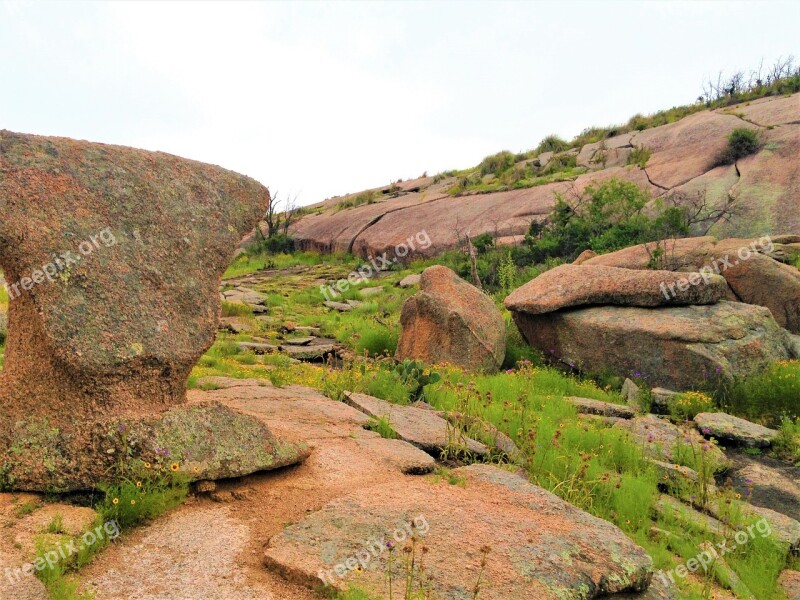 Pink Granite Rock Formation Wild Flowers Enchanted Rock Free Photos