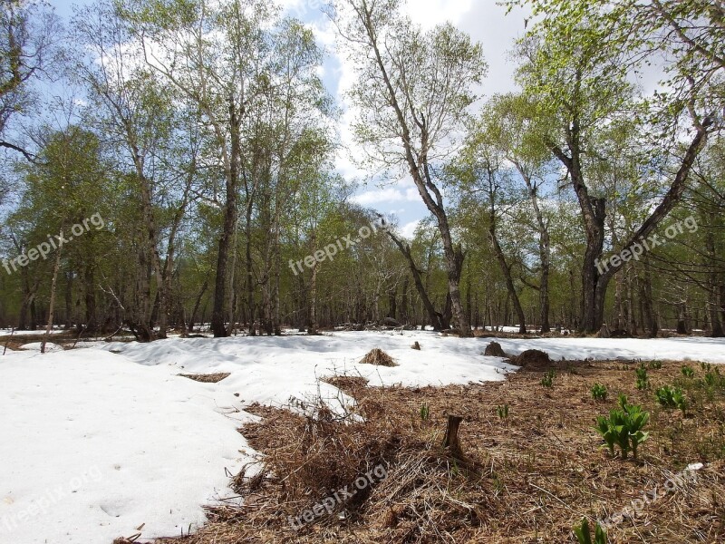 Spring Winter Summer Greens Meltwater