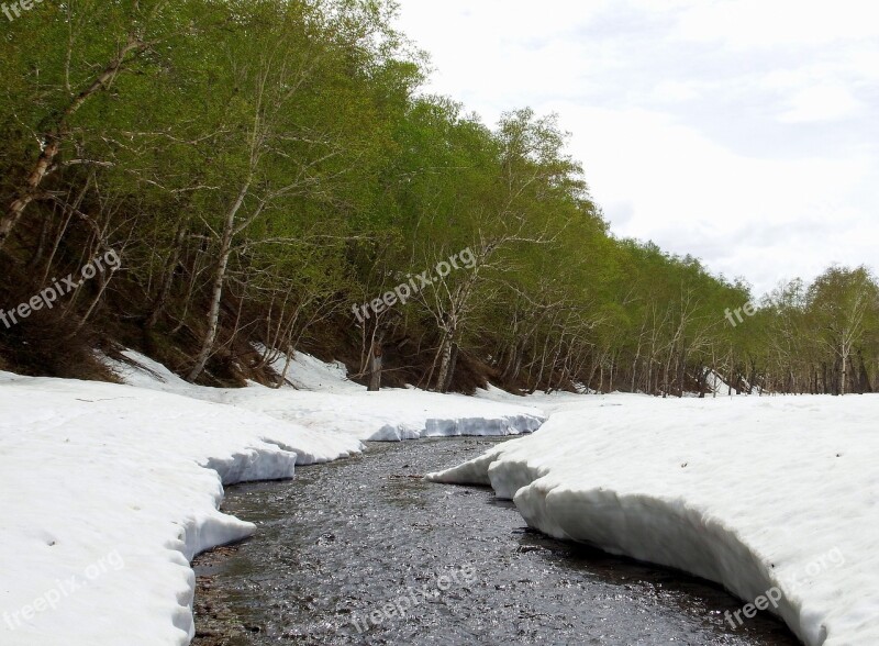 Spring Winter Summer Greens Meltwater