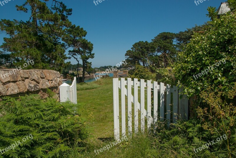 Brittany Bréhat Island Portal Ferns