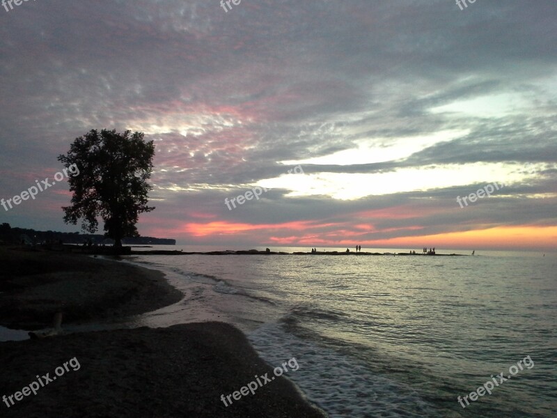 Lake Erie Sunset Beach Tree Summer