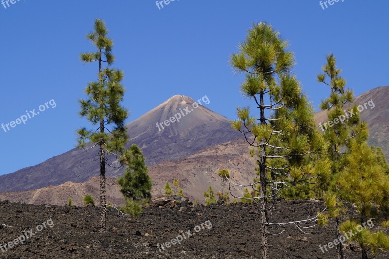 Teide National Park National Park Rock Rock Formations Tenerife