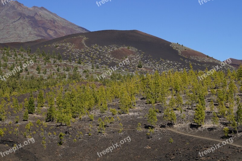 Teide National Park National Park Rock Rock Formations Tenerife