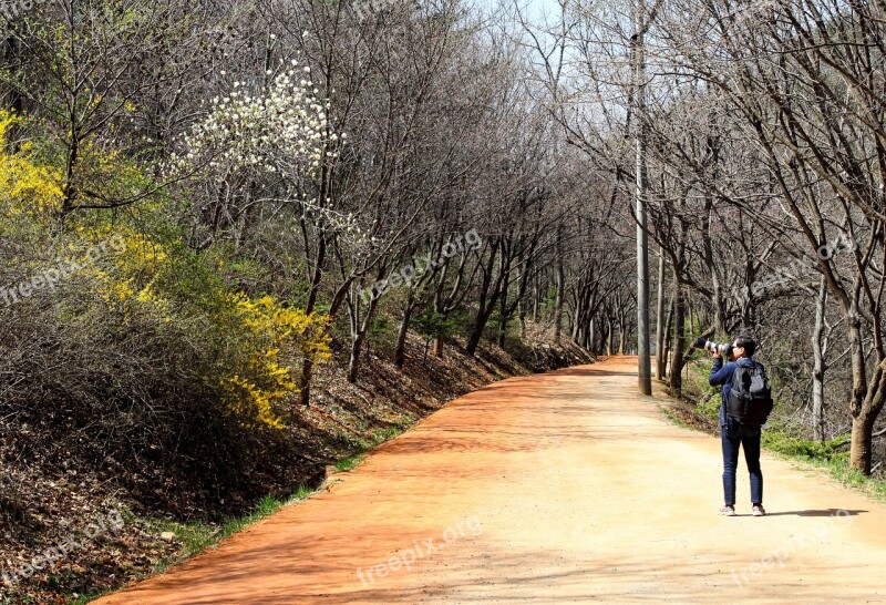 Loess Trail The Yellow Plague Enjoy Gil Free Photos