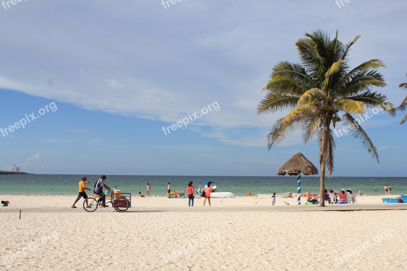 Mexico Port Progress Yucatan Beach Palms