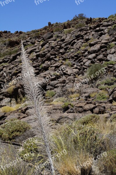 Teide National Park National Park Rock Rock Formations Tenerife