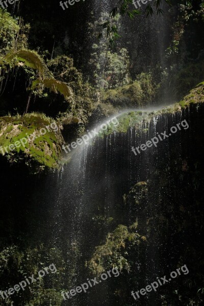 Water Moss Waterfall Nature Lichen