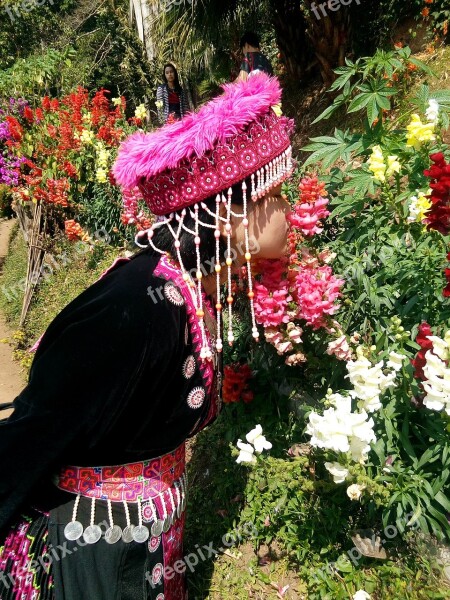 Tribal Mountaineer Hmong Doi Pui Woman