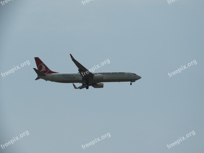 Landing Turkish Airlines Aircraft Flyer Sky