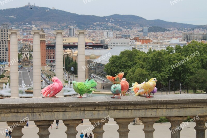 Birds Colorful Barcelona Spain Artists