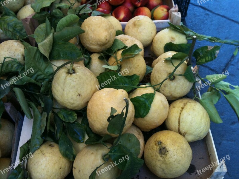 Lemons Sorrento Italy Citrus Food