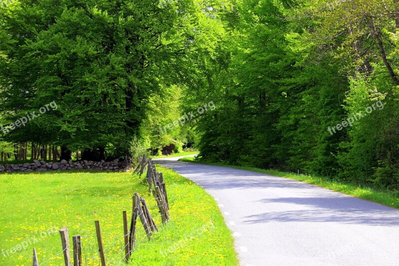 Skåne Road Summer Sweden Free Photos