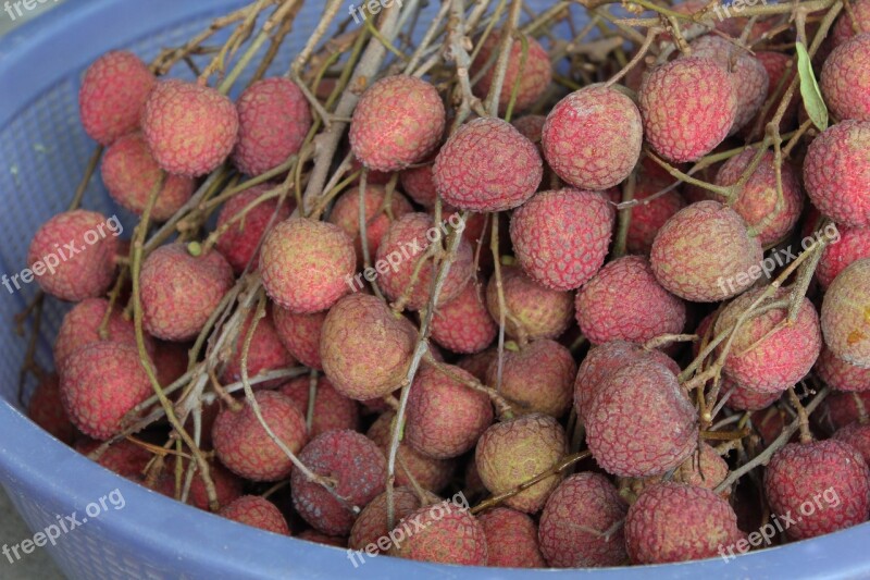 Litchi Fruit Taiwan Free Photos