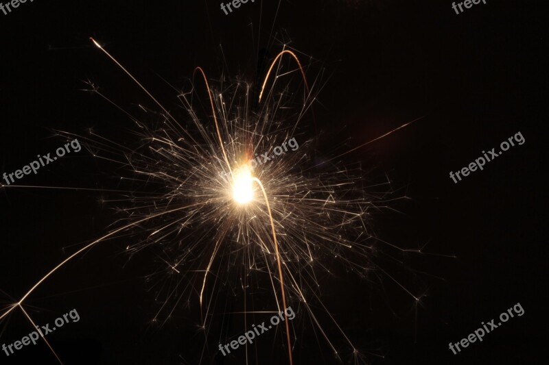 Roman Candle Macro Bi Free Photos