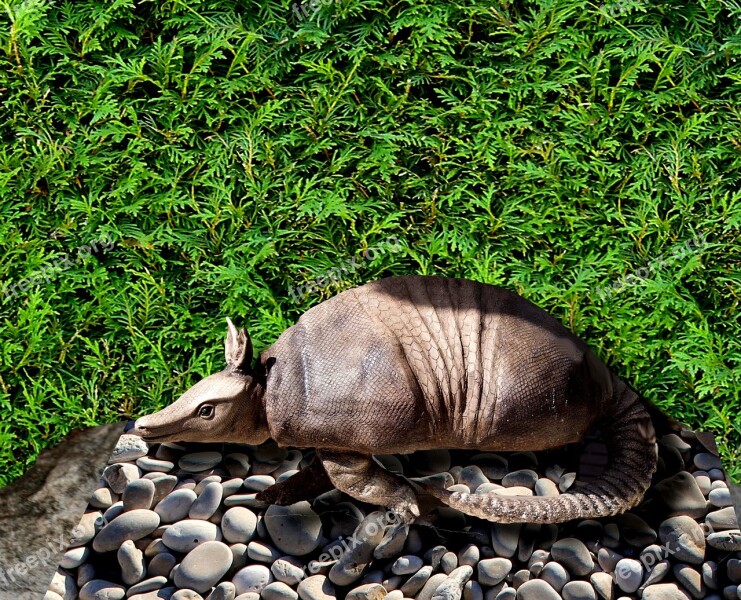 Ceramic Armadillo Animal Art Free Photos