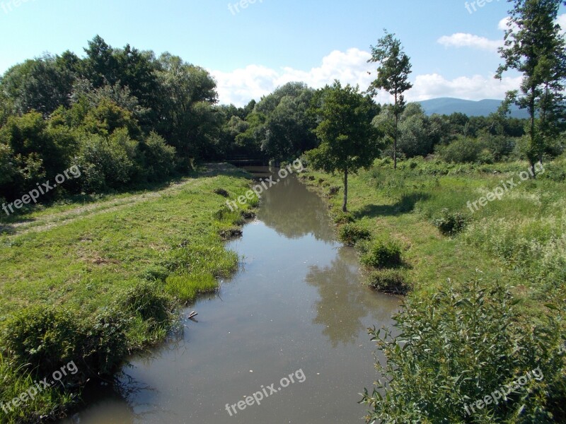 Forest Water Slovakia Trees Country