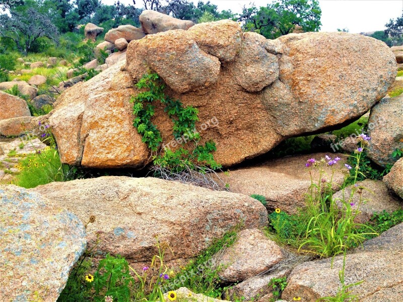 Pink Granite Enchanted Rock Texas Wild Flowers Vines Free Photos