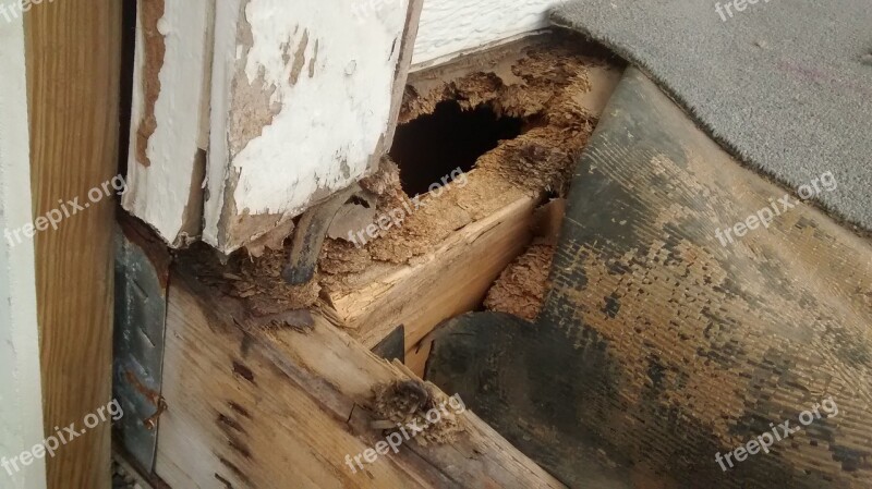 Porch Repair Damage Wood Exterior