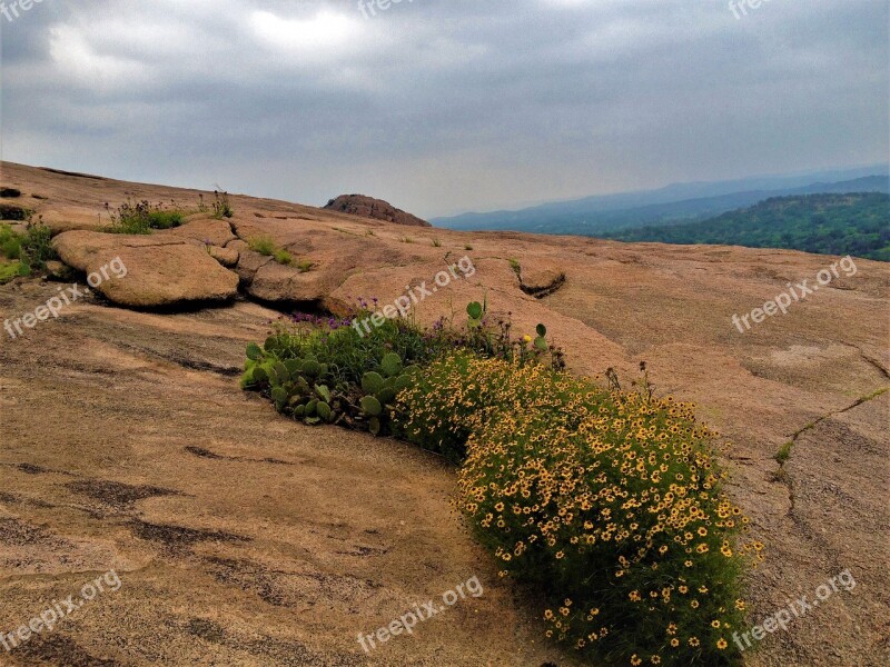 Enchanted Rock Texas Landscape Wild Flowers Pink Granite Free Photos