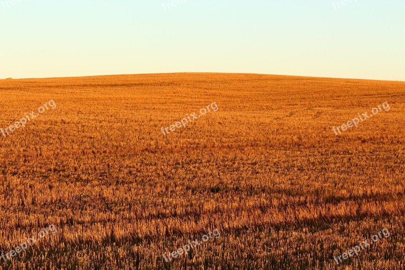 Sunset Field Mood Landscape Fields