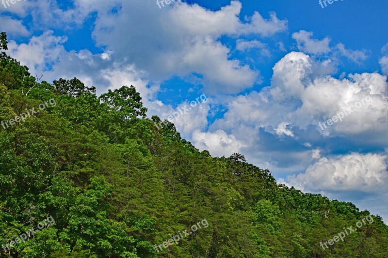 Cumulus Clouds Over The Trees Tennessee Usa Trees Plant