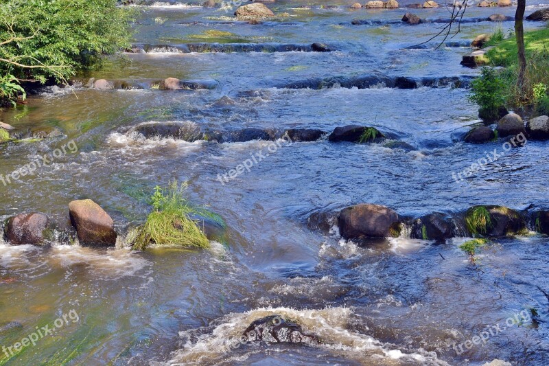 Creek White Water Nature Water Rock