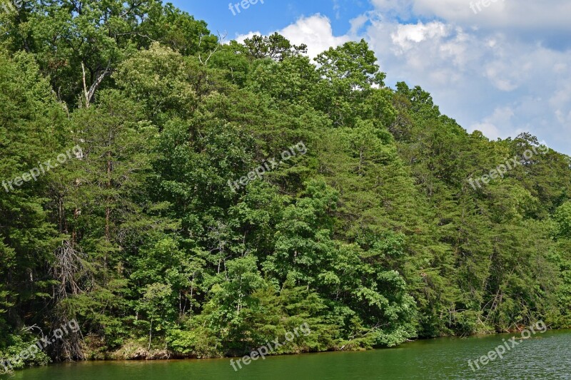 View Of Shore From Boat Tennessee River Tennessee Usa Trees