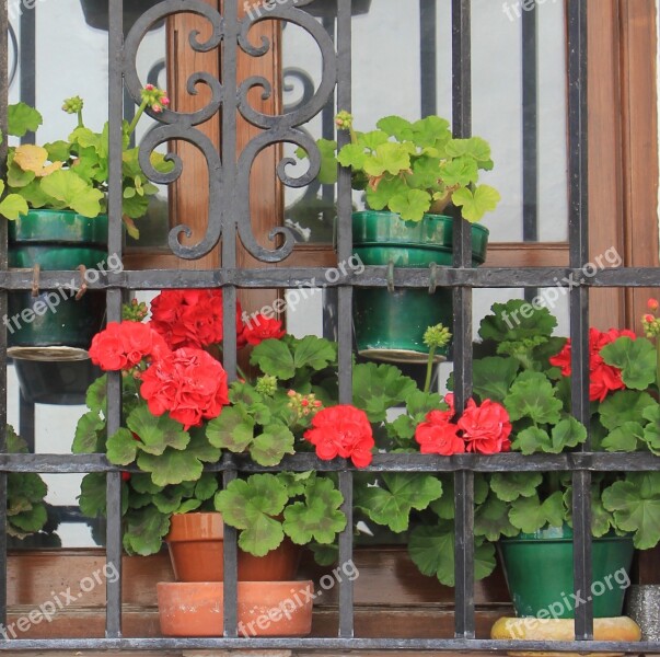 Flower Window Box Spain Red Architecture